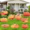 Set of 9 Fall Yard Signs Pumpkin Yard Stakes Thanksgiving Outdoor Decoration Harvest Garden Signs Lawn Pumpkin Sign with Stakes for Home Holiday Decoration Party Supplies Farmhouse